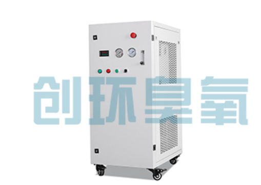 井陉矿石斑鱼养殖水质调控完整指南:臭氧发生器配置与操作步骤