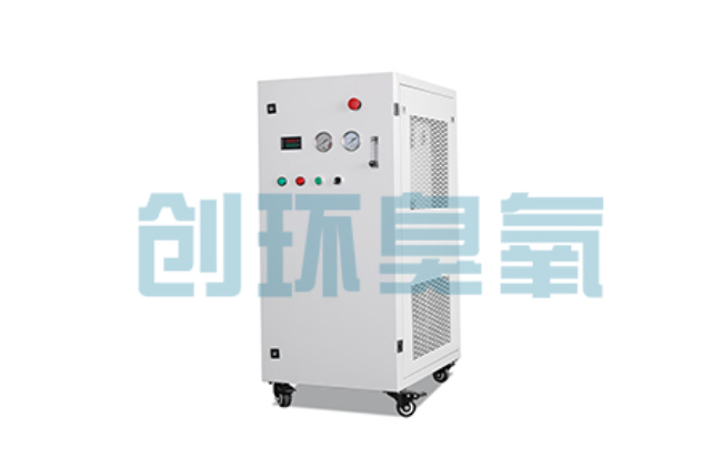 井陉矿比传统换水更高效?臭氧发生器在石斑鱼养殖中的水质净化原理解析